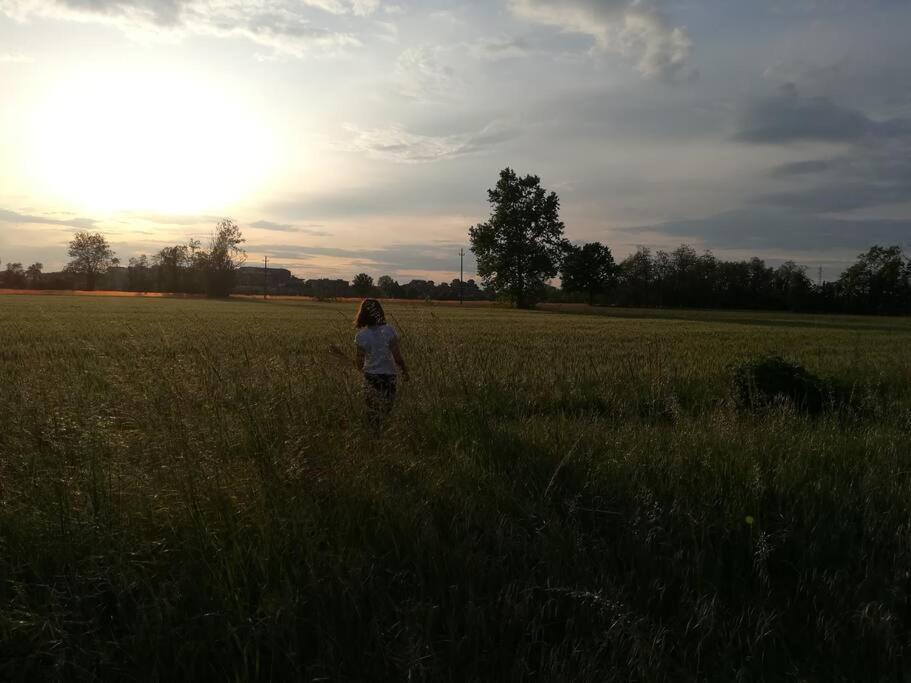 Accogliente In Cascina Lombarda